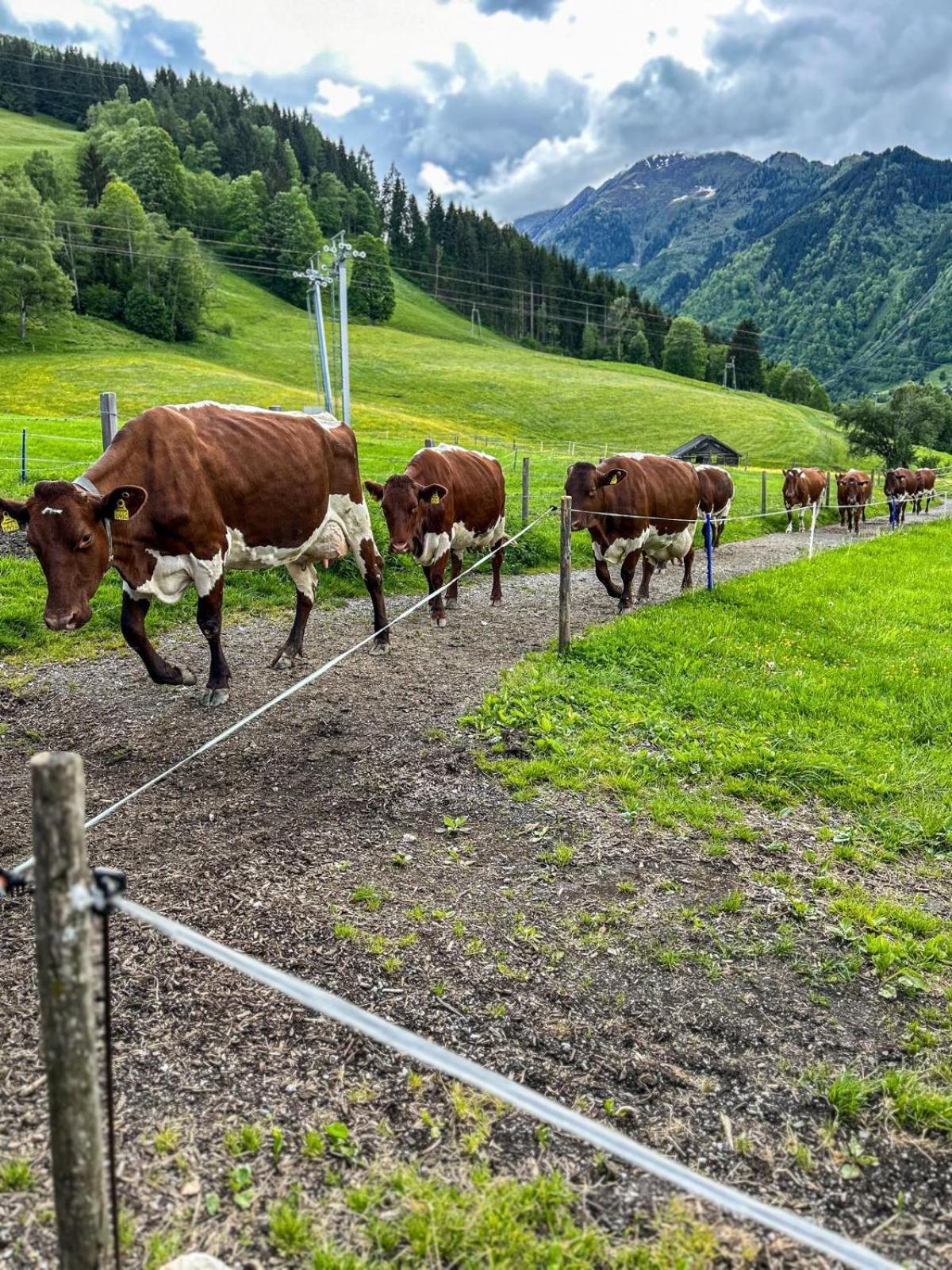 Oberlehenhof Villa Kaprun Rom bilde